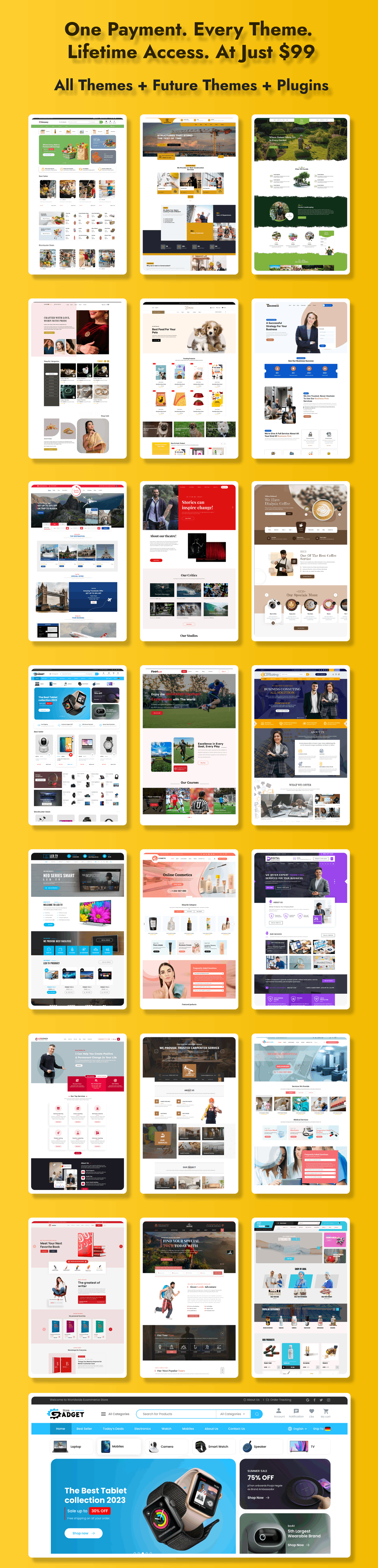 Lifetime Package WordPress Theme