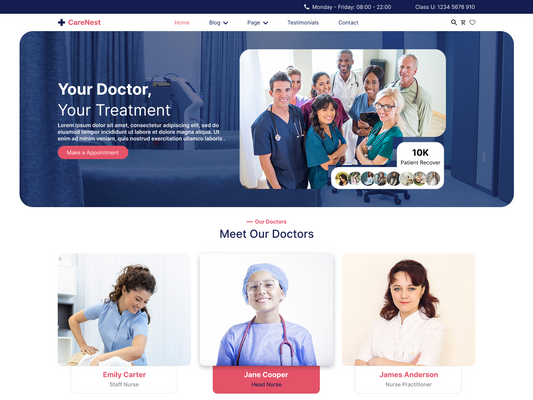 Expert Nurses Theme